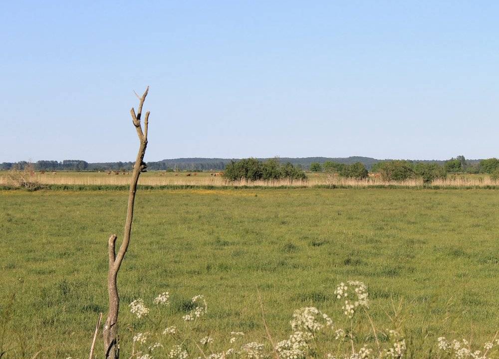 Photo of Others in Viereck