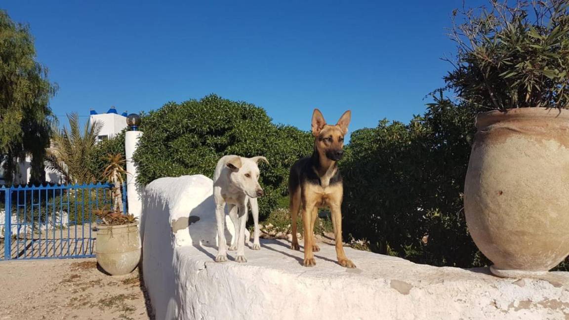 Photo of Others in Sidi Kaouki
