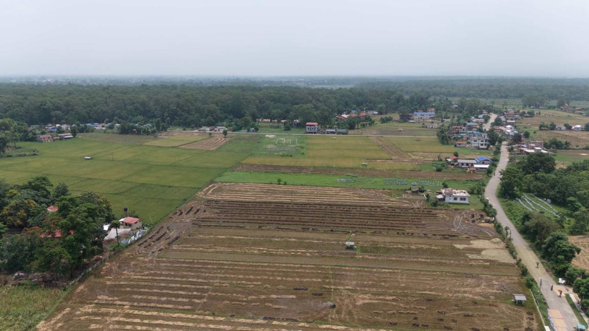 Photo of Others in Sauraha