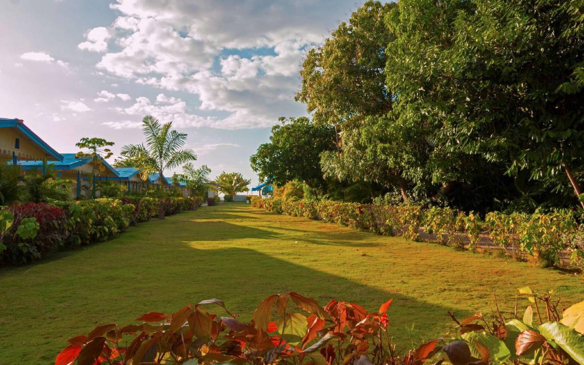 Photo of Others in Negril