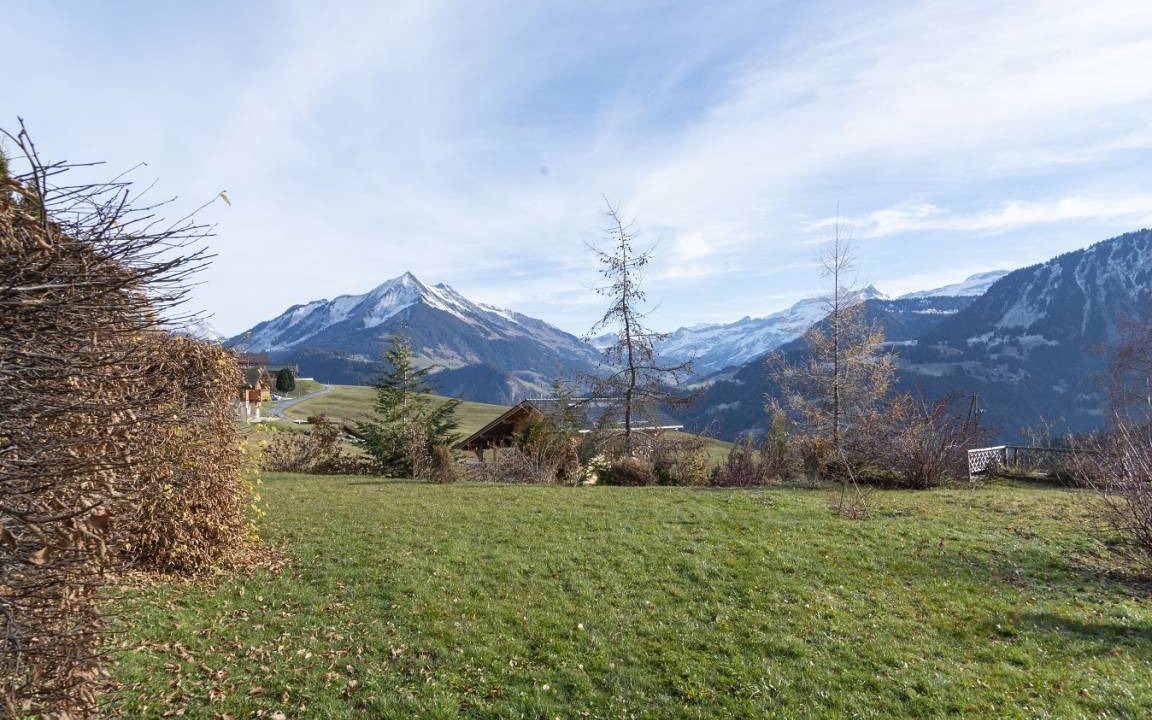 Photo of Others in Leysin