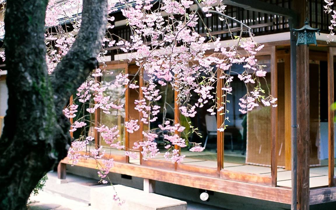 Photo of Others in Sakyo Ward