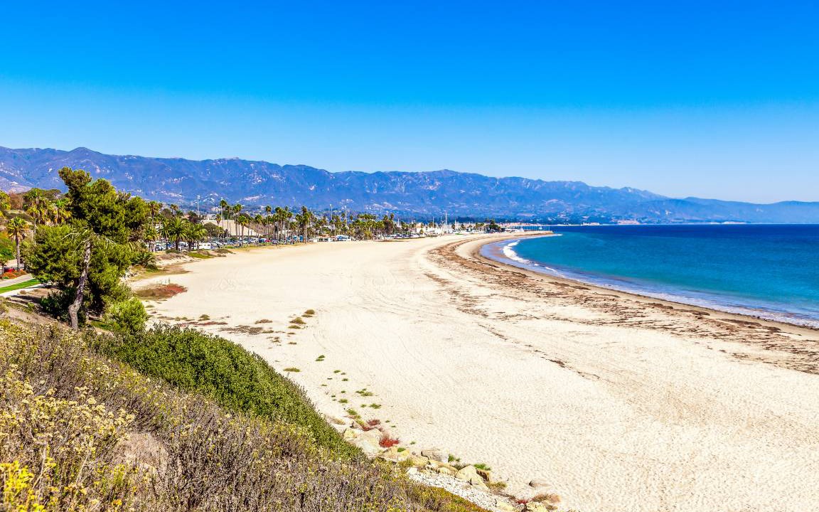 Photo of Others in East Beach