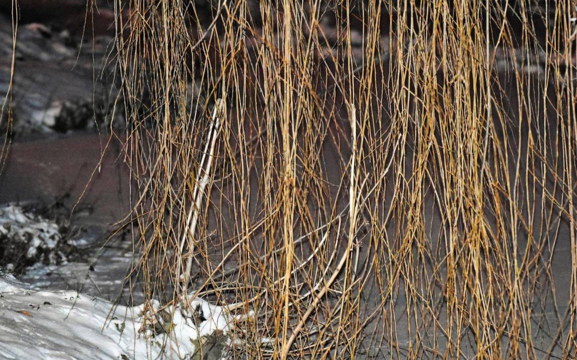Photo of Others in Sputendorf