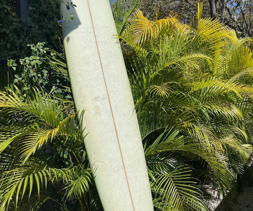 Photo of Others in Playa Langosta