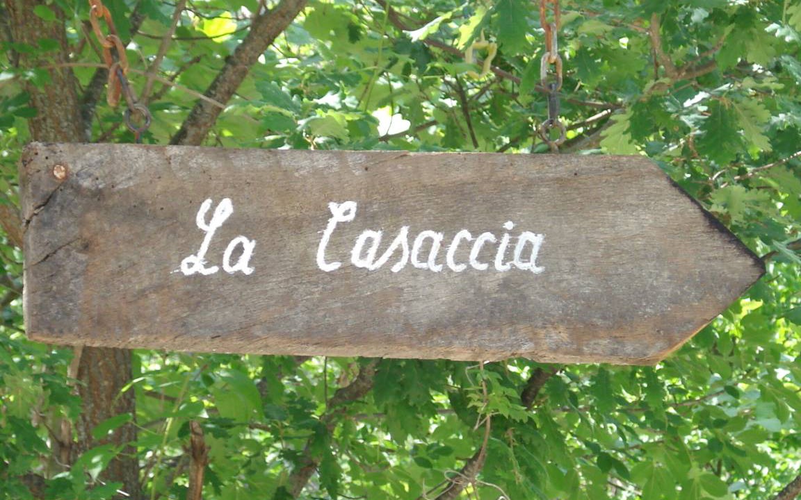 Photo of Others in Sestino