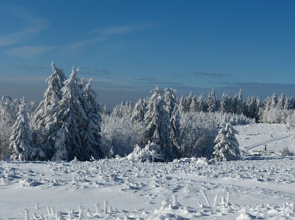 Photo of Others in Winterberg