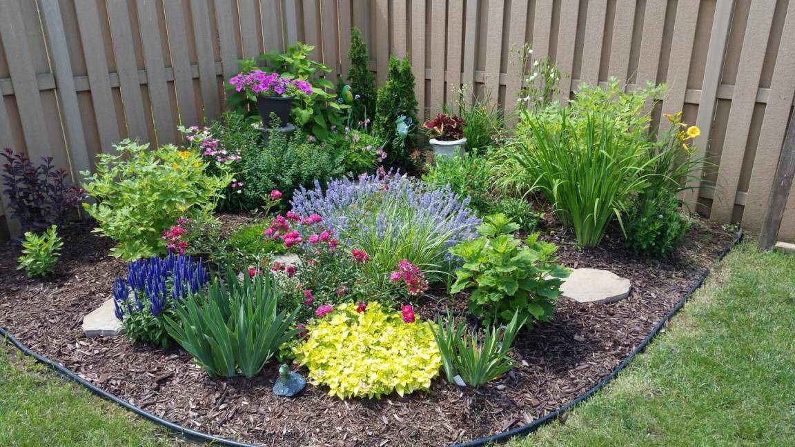 Photo of Outdoor in Ottawa Division