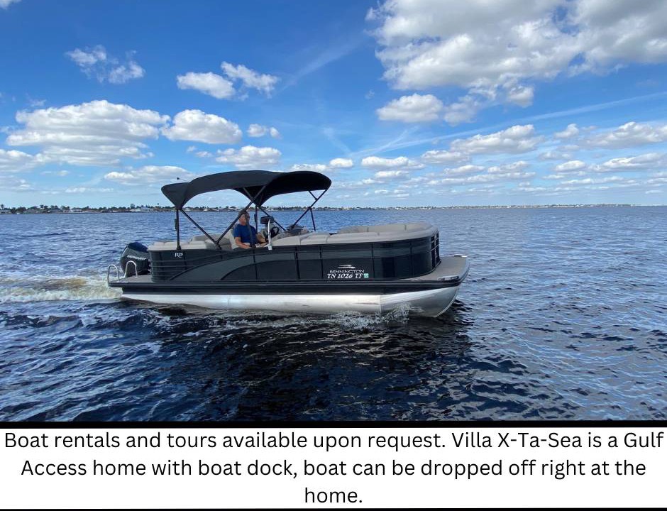 Photo of Others in Pelican