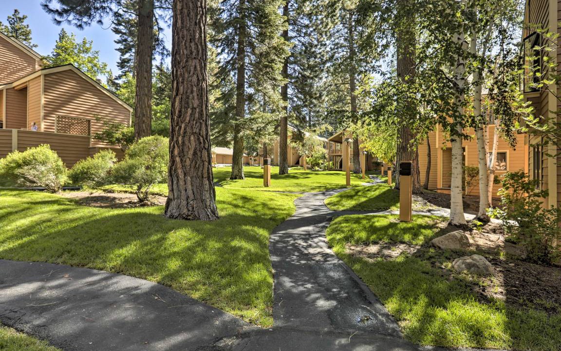 Photo of Others in Incline Village