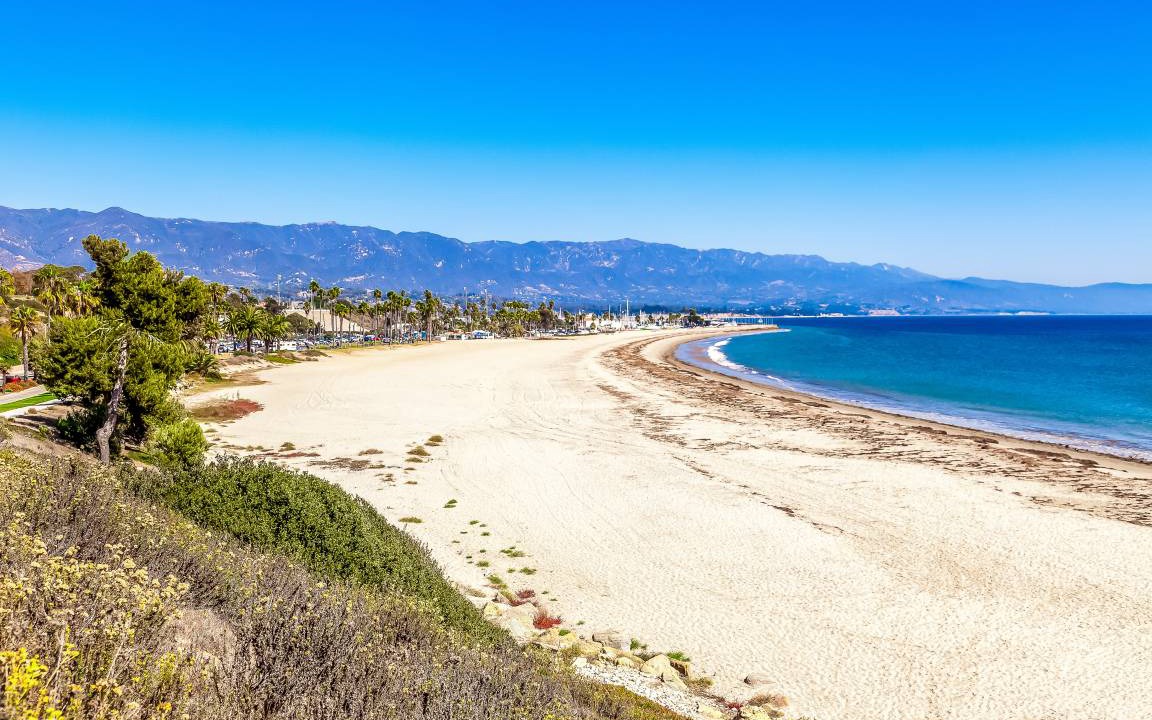 Photo of Others in East Beach