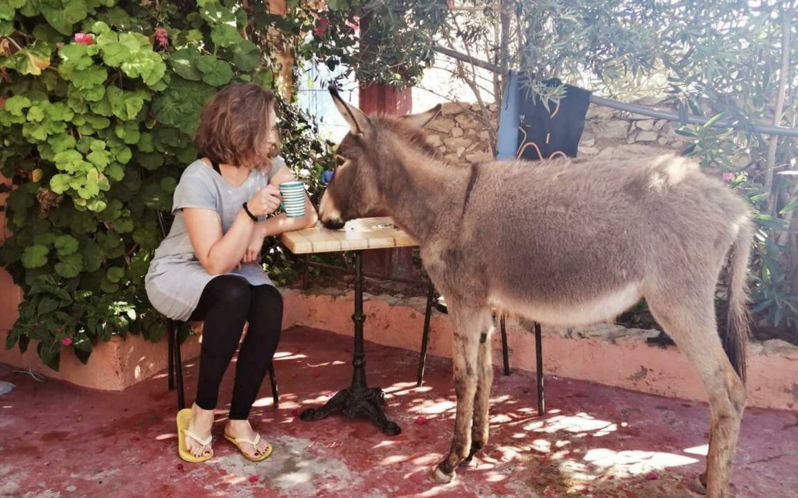Photo of Others in Essaouira