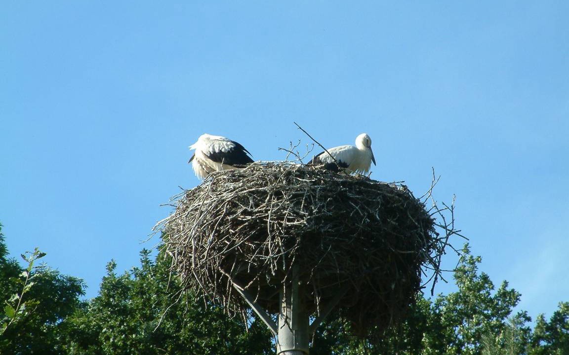 Photo of Others in Modlich