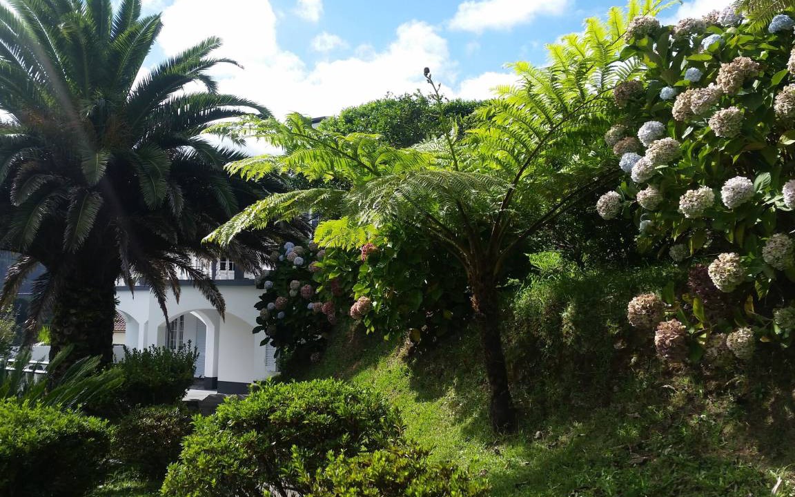 Photo of Others in Furnas