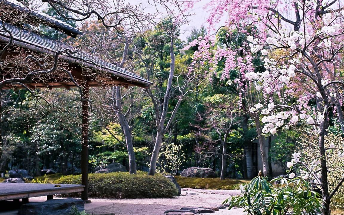 Photo of Others in Sakyo Ward