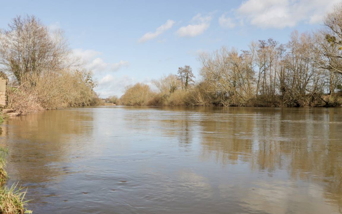 Photo of Others in Symonds Yat