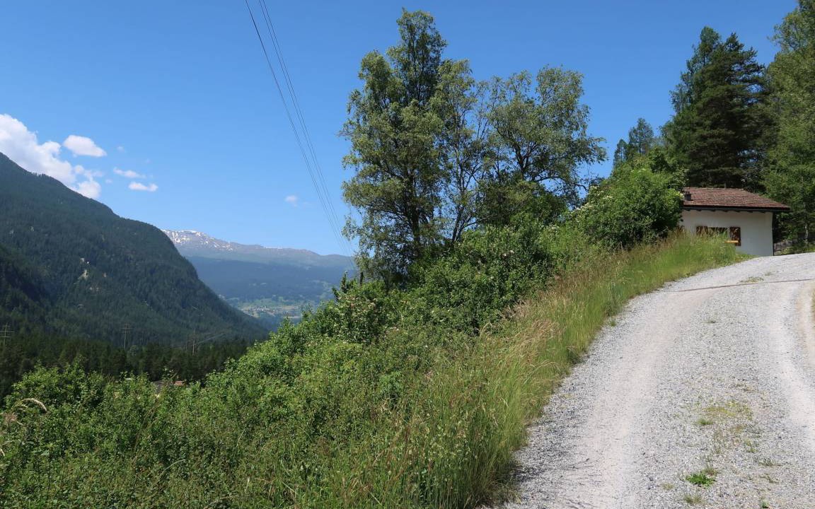 Photo of Others in Albula-Alvra