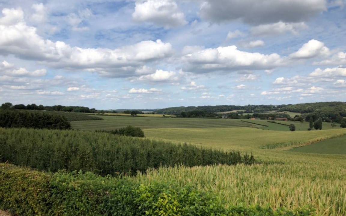 Photo of Others in Teuven