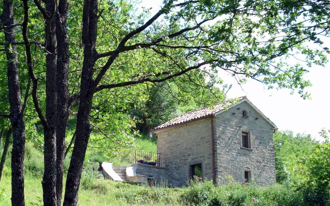 Photo of Others in Sestino