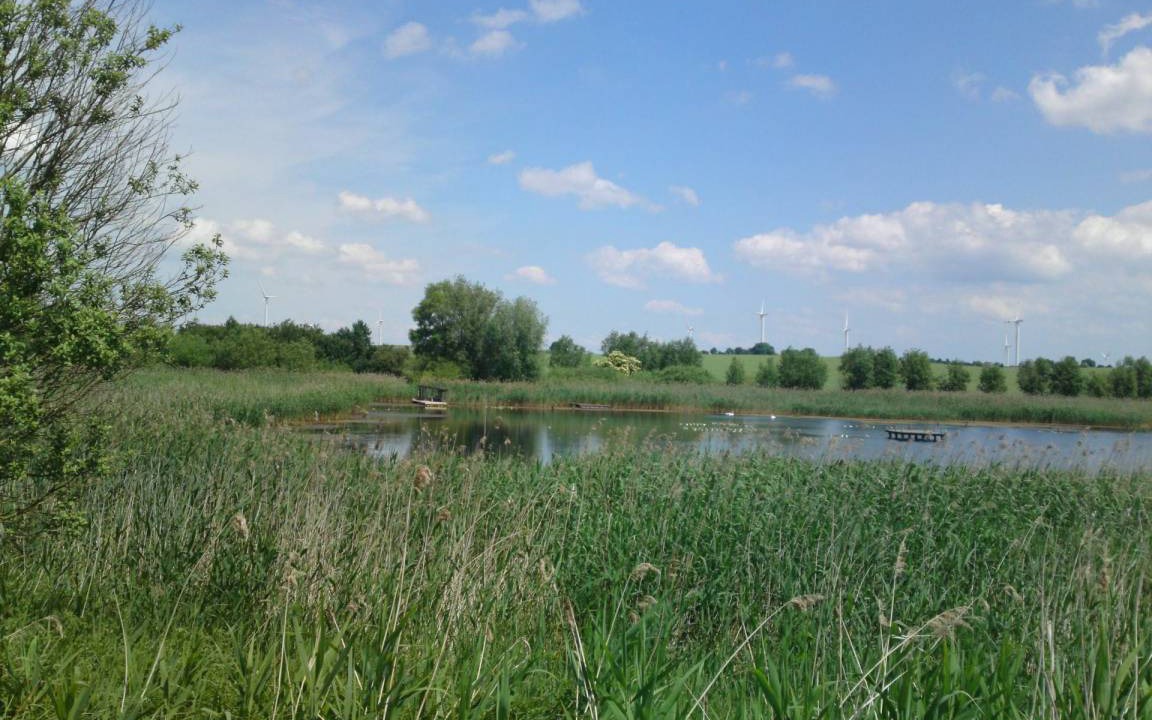 Photo of Others in Frauenhagen