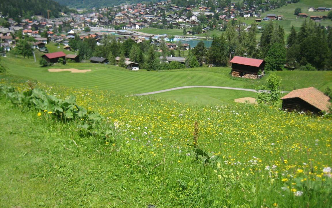 Photo of Others in Klosters-Serneus