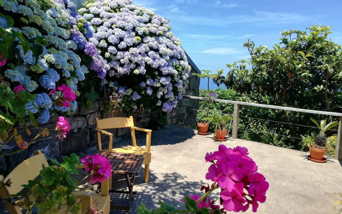 Photo of Patio Balcony in Nordestinho