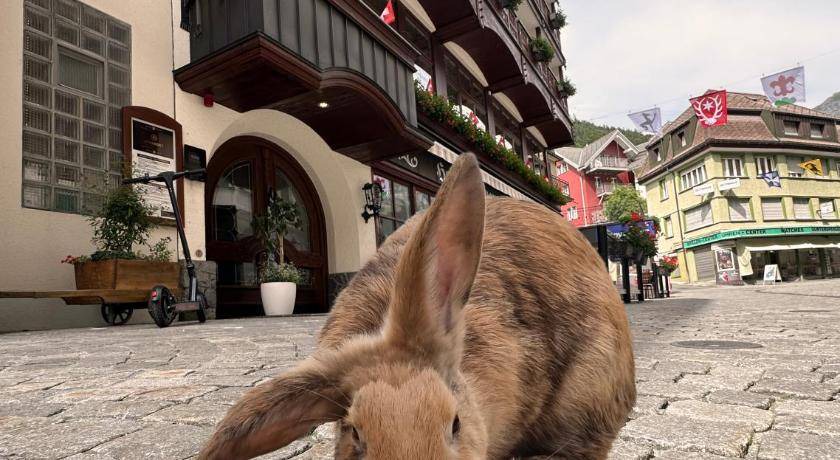 Photo of Others in Engelberg