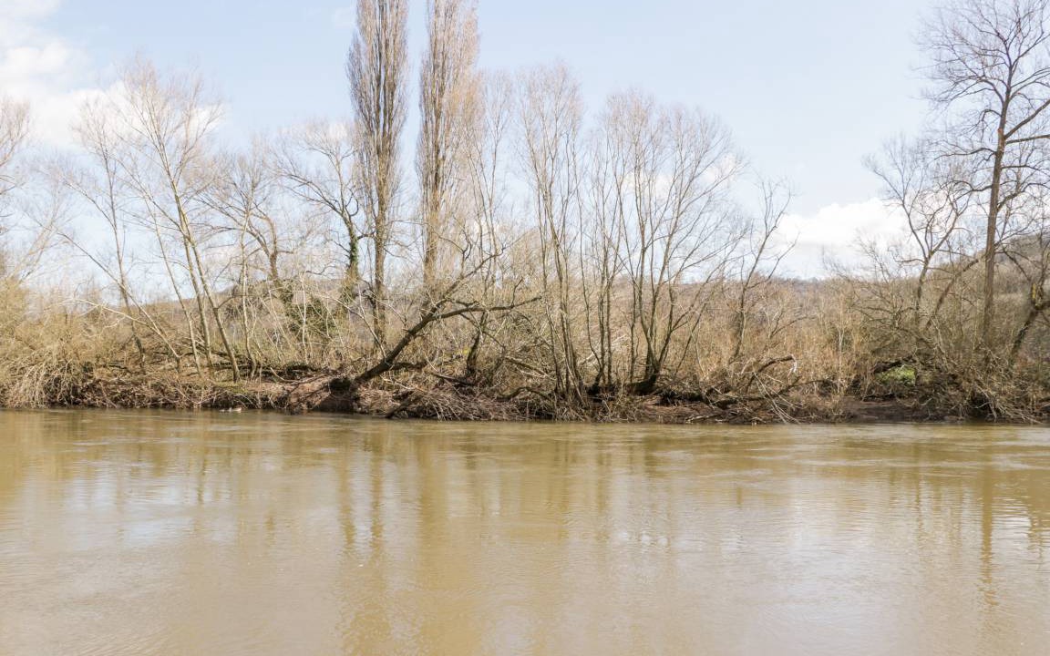Photo of Others in Symonds Yat