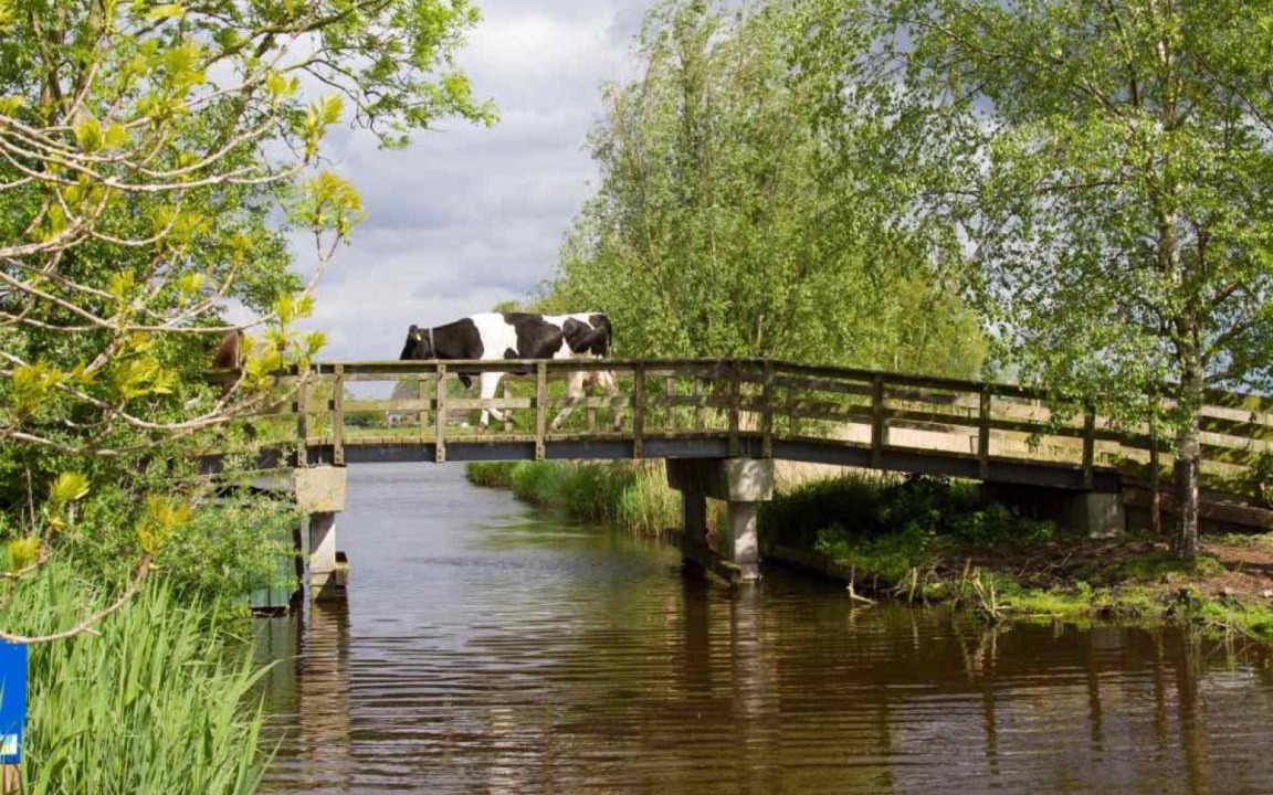 Photo of Others in Monnickendam