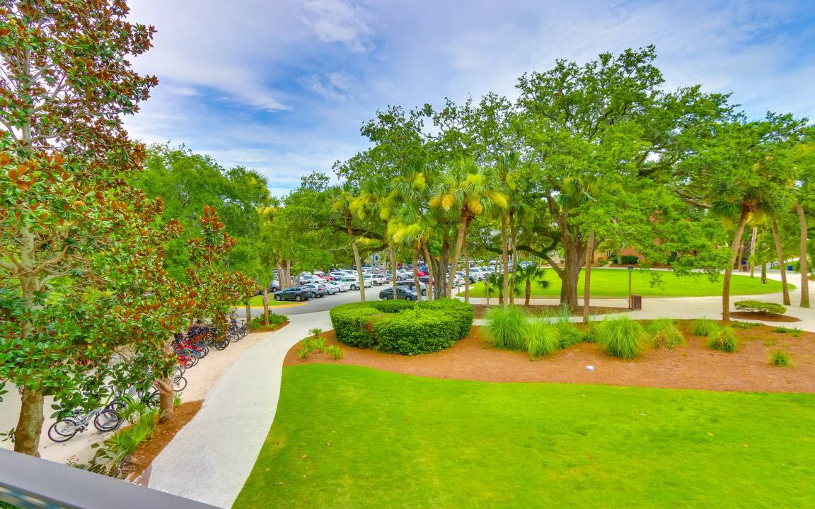 Photo of Others in Harbour Town