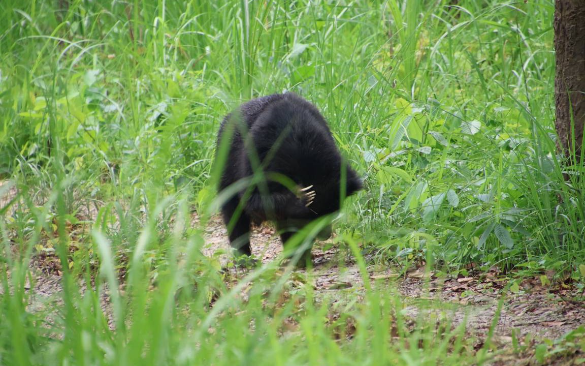 Photo of Others in Sauraha