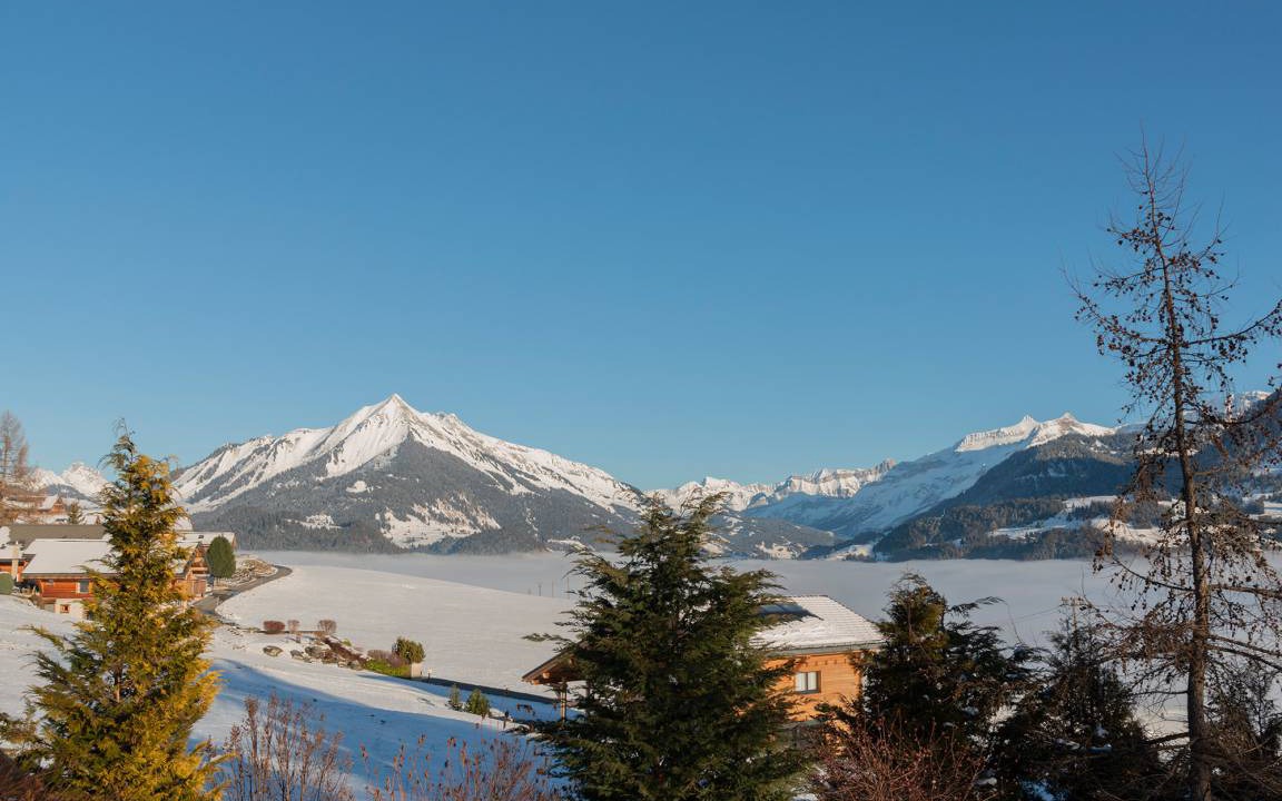 Photo of Others in Leysin