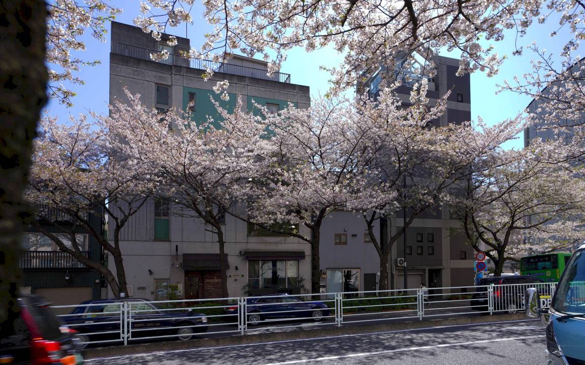 Photo of Others in Hiroo