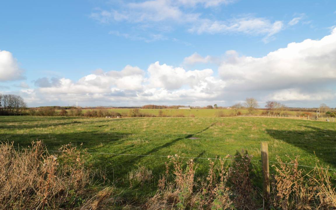 Photo of Others in Berwick-upon-Tweed