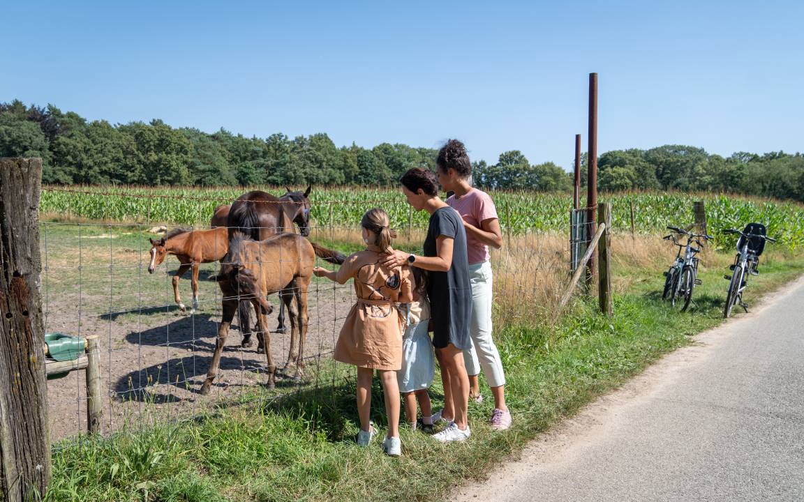 Photo of Others in Zutendaal