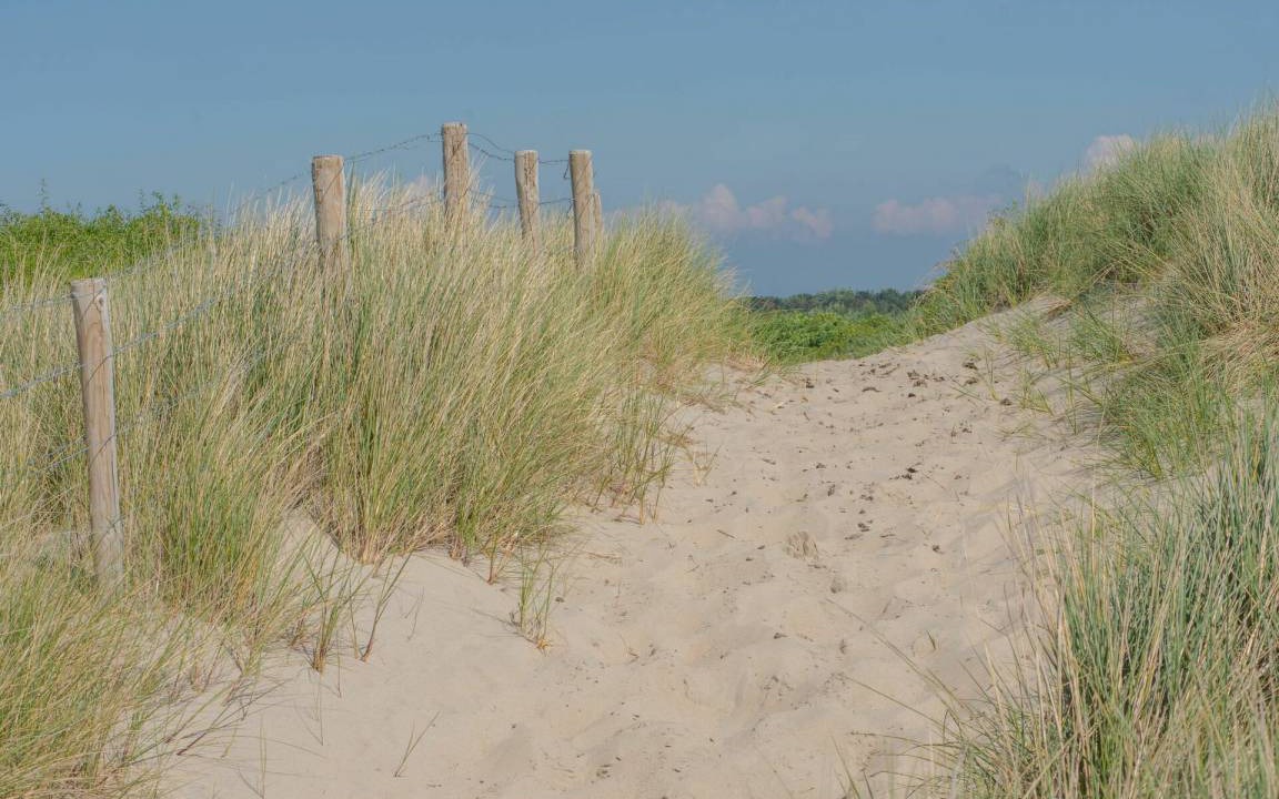 Photo of Others in De Haan