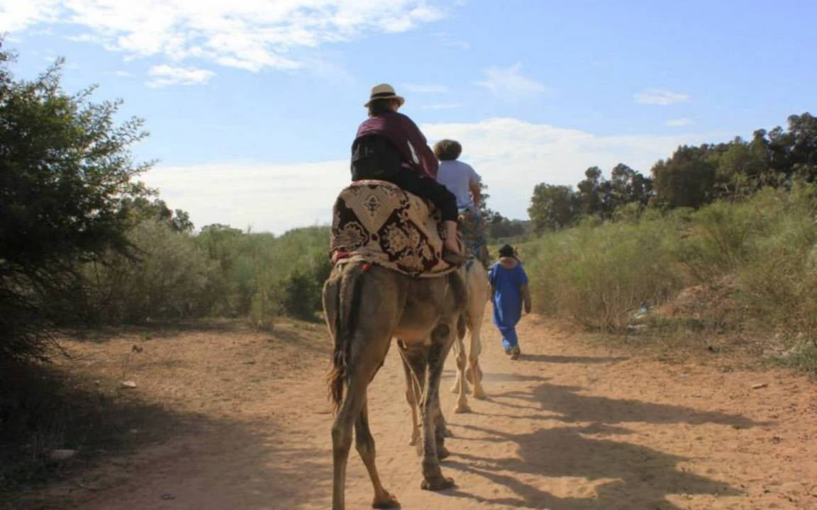 Photo of Others in Essaouira