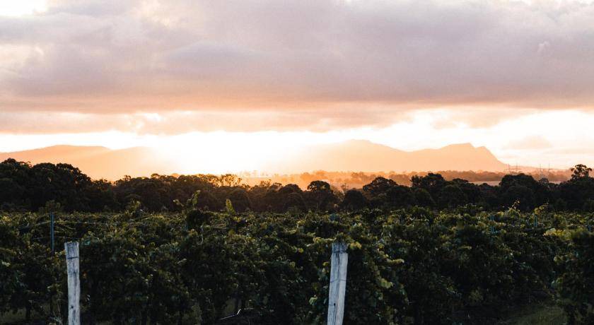 Photo of Others in Lovedale