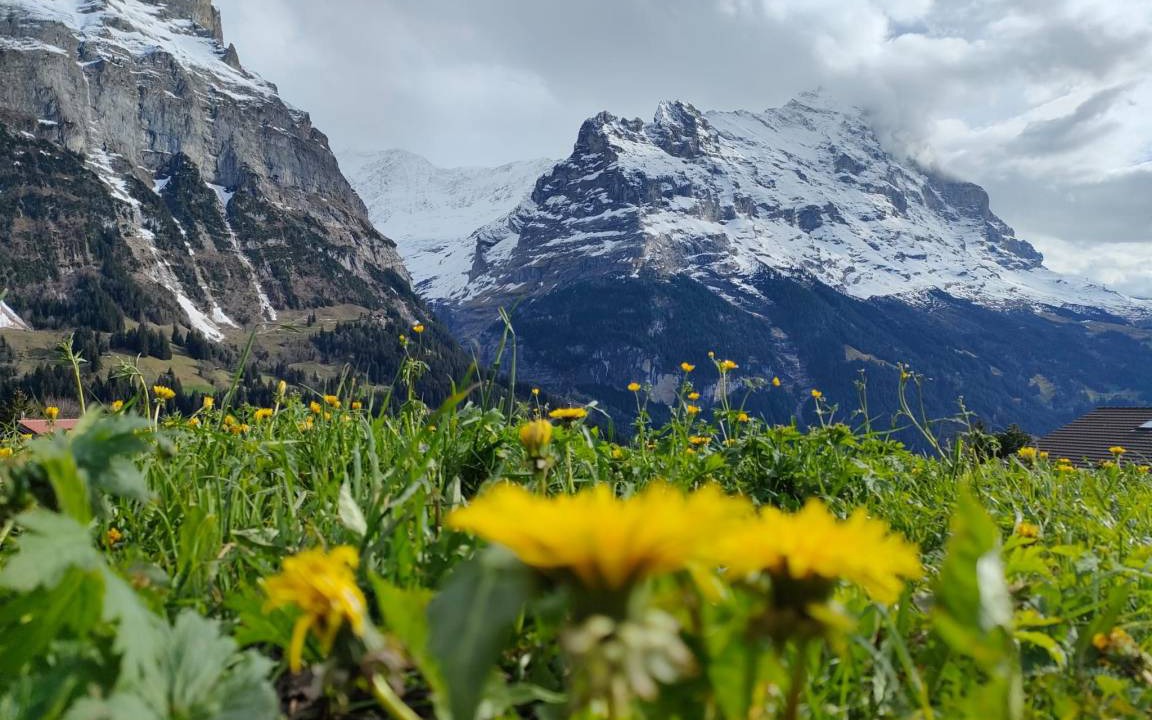 Photo of Others in Grindelwald