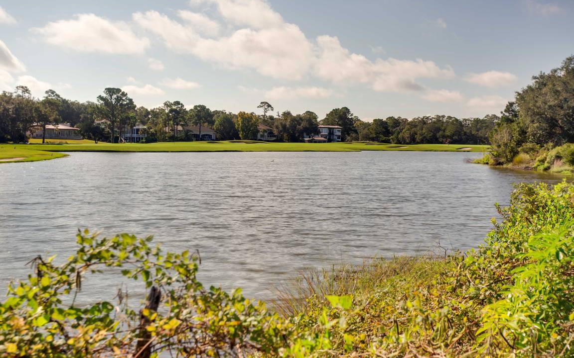 Photo of Others in Saint Simons Island