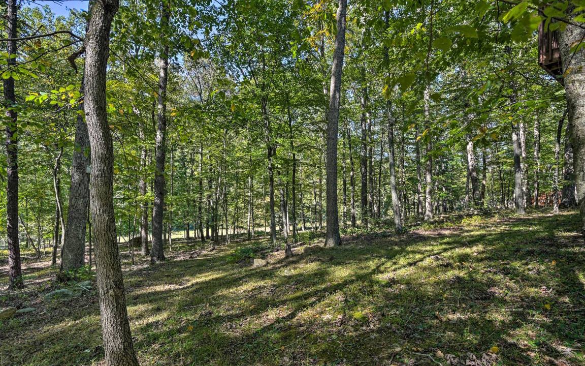 Photo of Outdoor in Great Cacapon