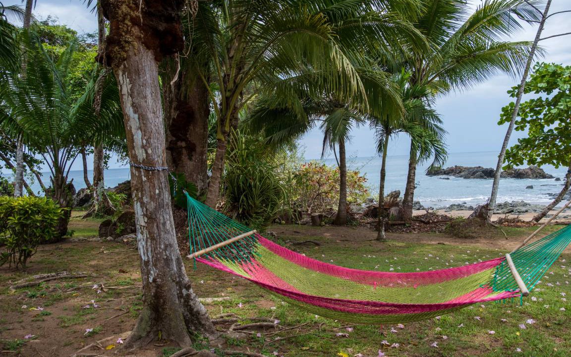 Photo of Others in Drake Bay