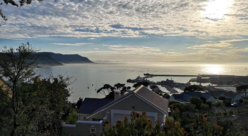 Photo of Others in Simon's Town