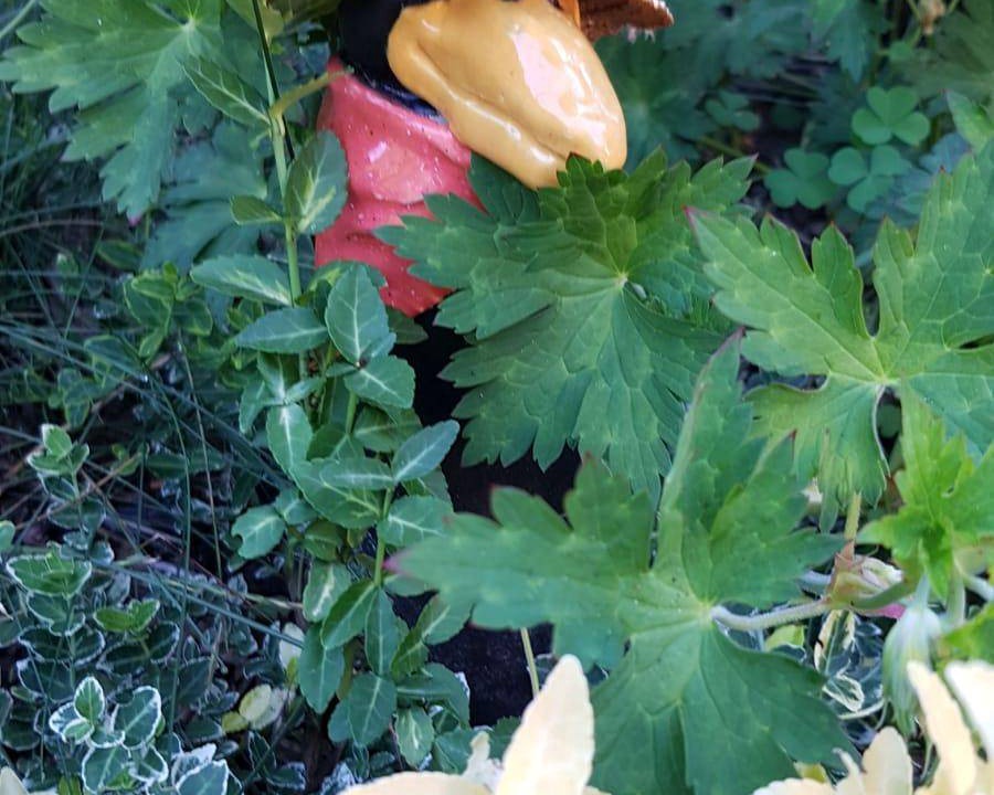 Photo of Others in Borkheide