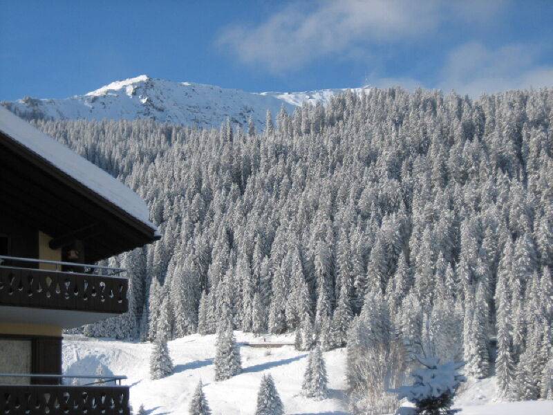 Photo of Others in Klosters-Serneus
