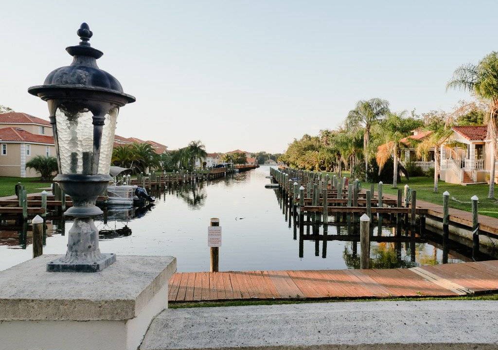 Photo of Others in Homosassa