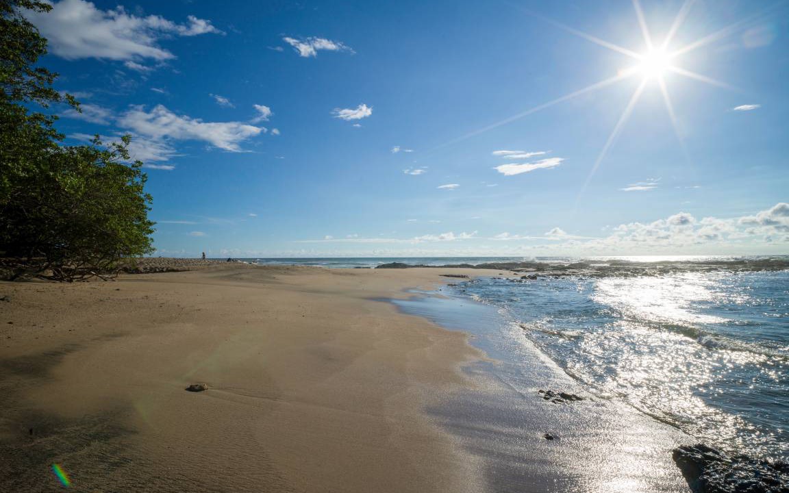 Photo of Others in Playa Langosta