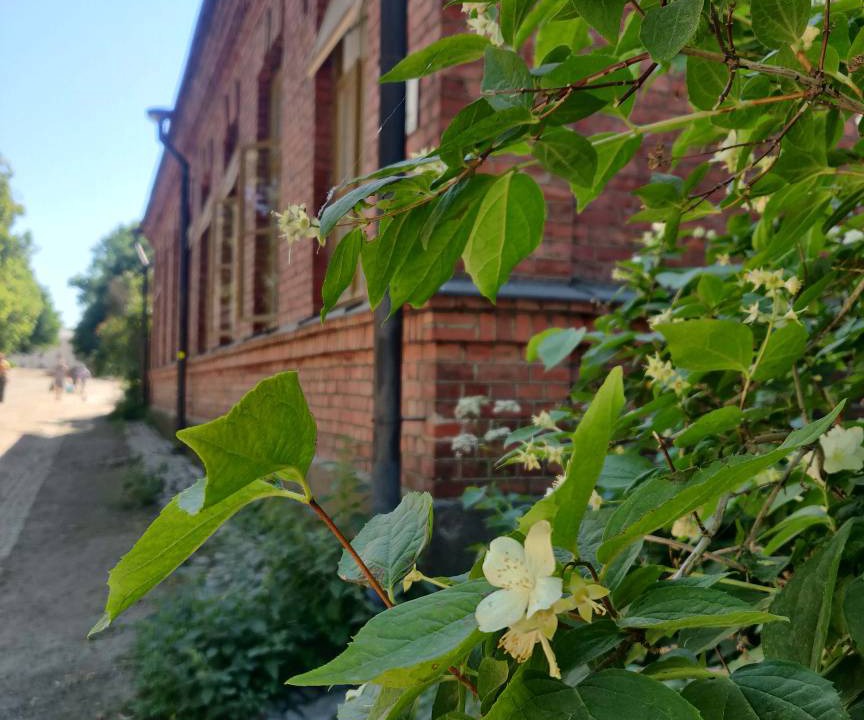 Photo of Others in Etelainen District