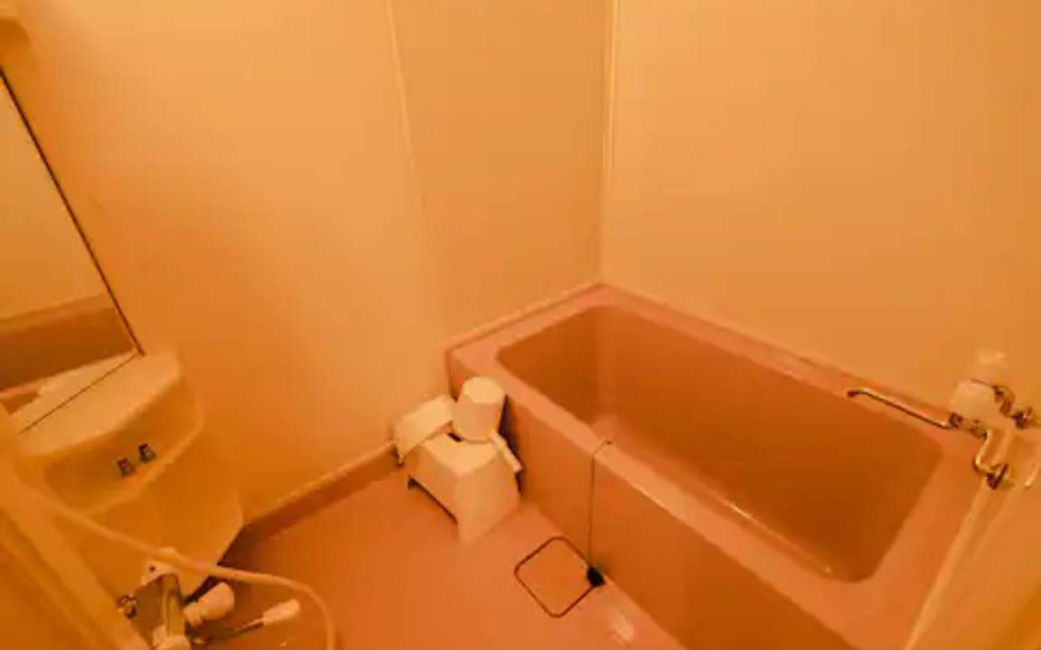 Photo of Bathroom in Toya