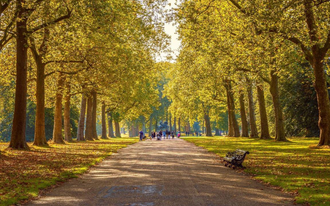 Photo of Others in Lancaster Gate